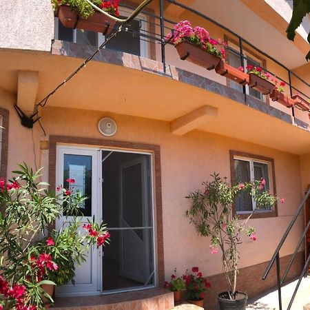 Casa Dasoveanu Costinesti Exterior photo