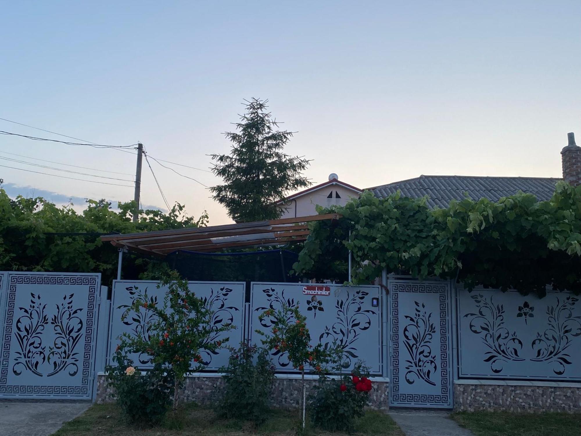Casa Dasoveanu Costinesti Exterior photo